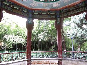 145- Charlotte - Kunming 